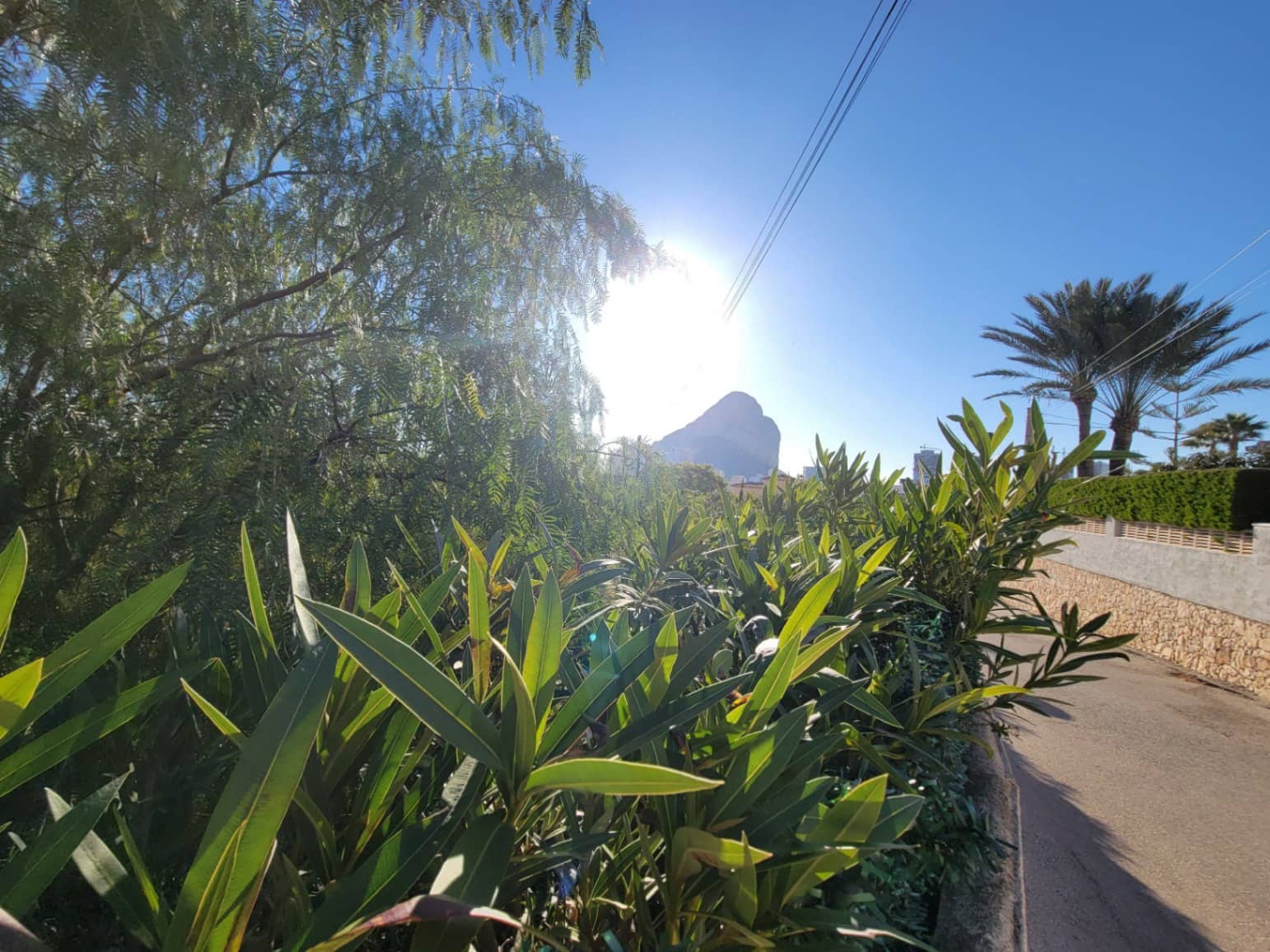 Solar/Parcela en Calpe / Calp en venta - 295.000 € (Ref: 9523602)