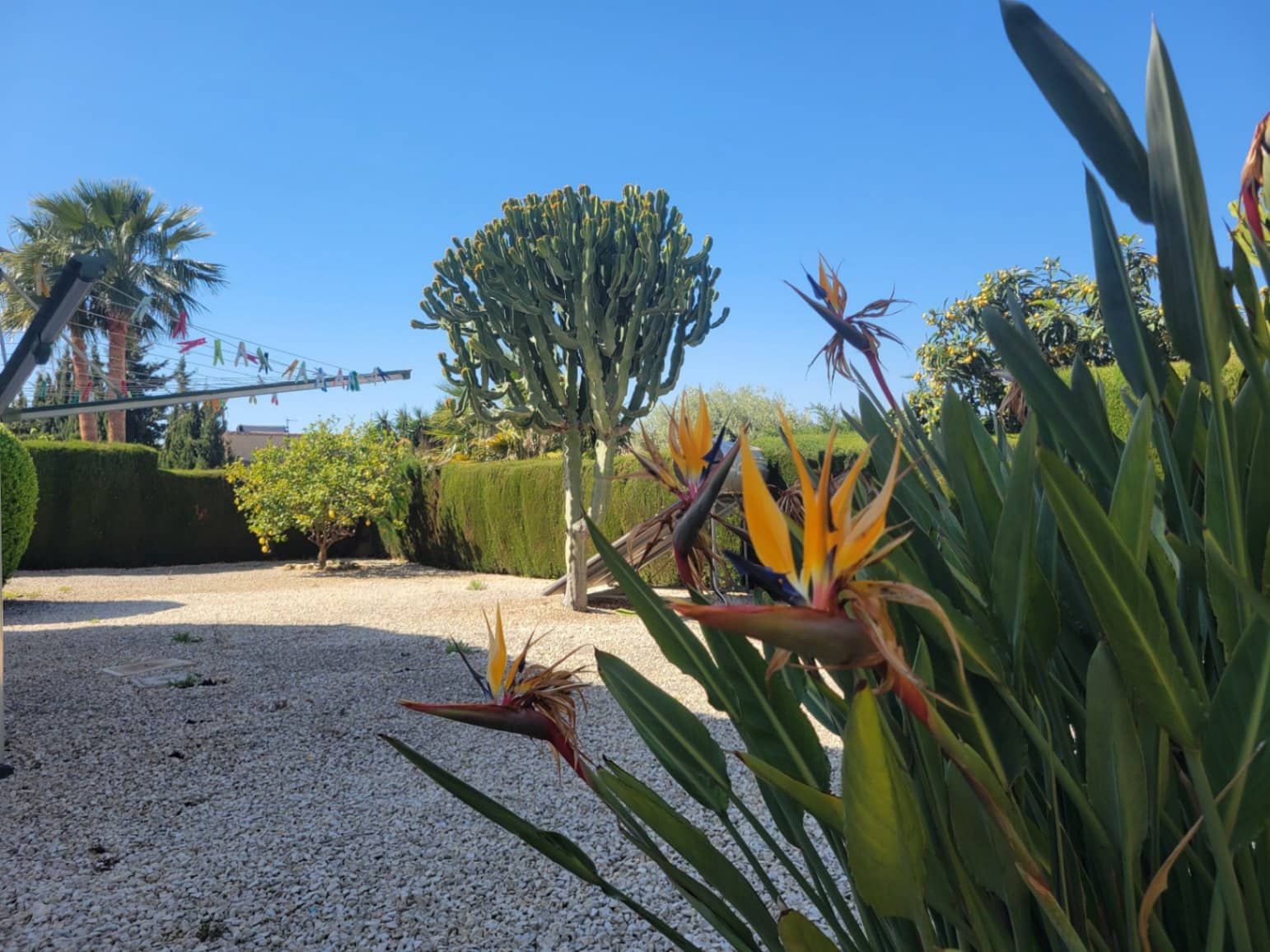 4 bedroom Villa for sale in Calpe / Calp with pool garage - € 799,000 (Ref: 9734015)