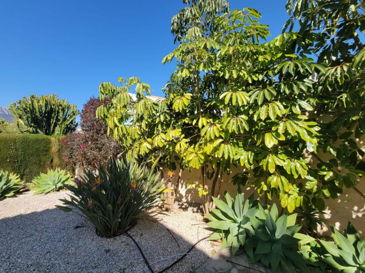 4 bedroom Villa for sale in Calpe / Calp with pool garage - € 799,000 (Ref: 9734015)