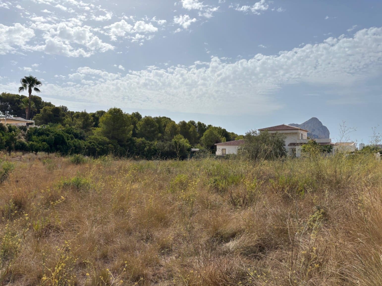 Building Plot for sale in Calpe / Calp - € 299,000 (Ref: 9965885)