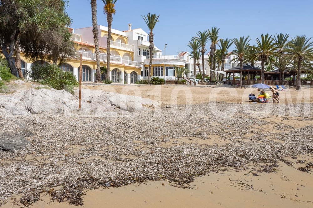 31 soveværelse Hotel til salg i San Juan de los Terreros - € 1.900.000 (Ref: 9069181)