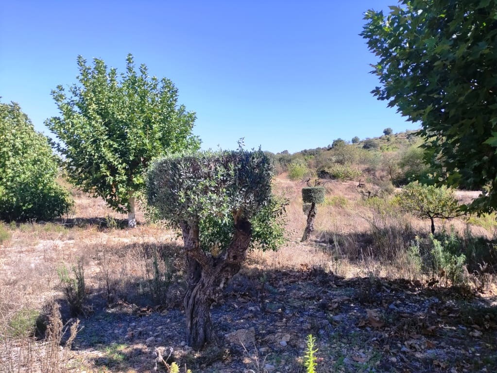 3 soveværelse Finca/Landehus til salg i Almudaina - € 130.000 (Ref: 10136490)