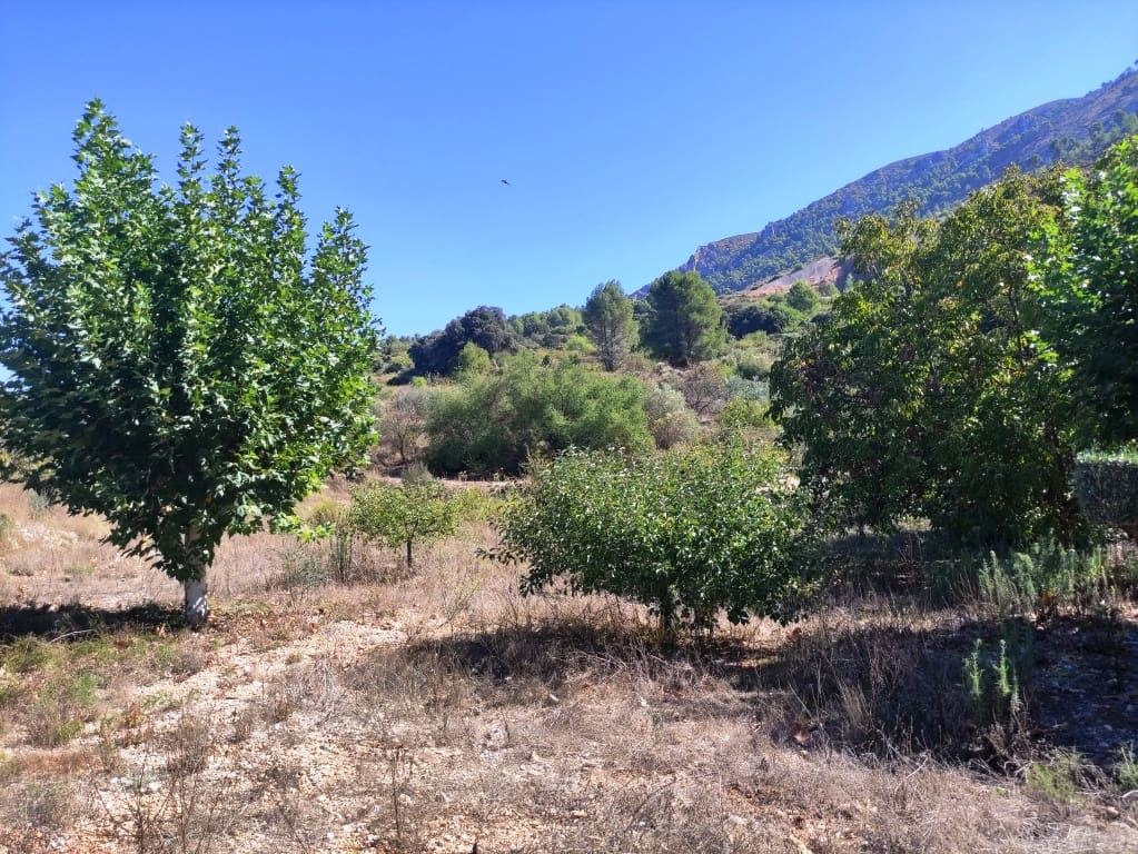 3 soveværelse Finca/Landehus til salg i Almudaina - € 130.000 (Ref: 10136490)
