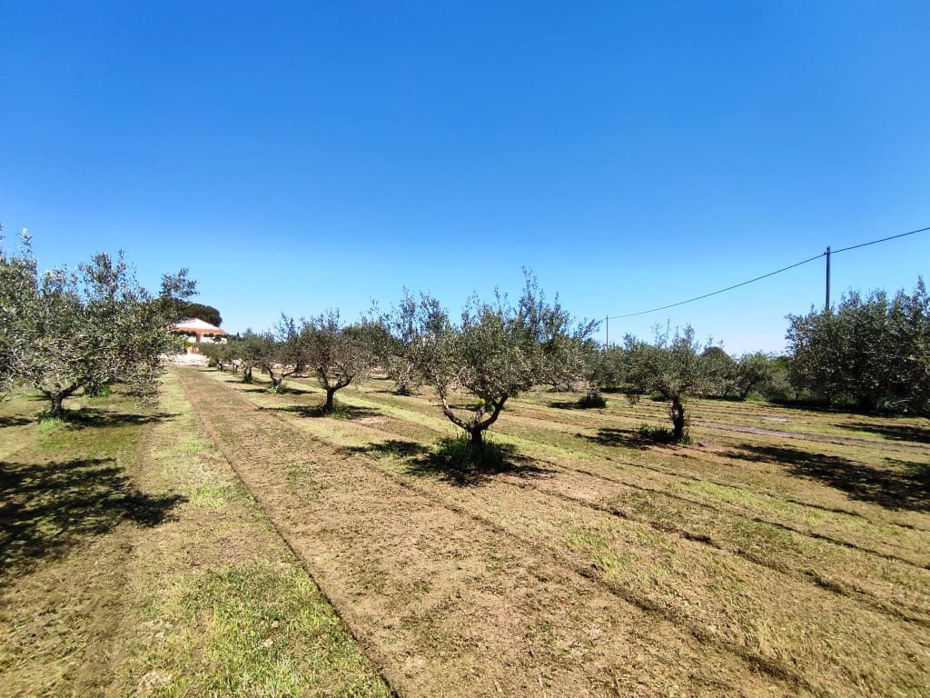 5 soveværelse Finca/Landehus til salg i Ontinyent med swimmingpool garage - € 295.000 (Ref: 3615452)