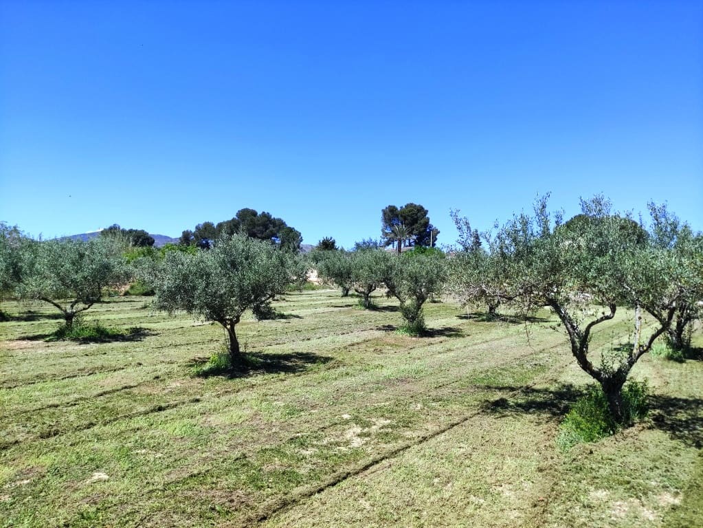 5 soveværelse Finca/Landehus til salg i Ontinyent med swimmingpool garage - € 295.000 (Ref: 3615452)