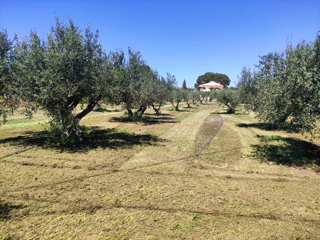 5 soveværelse Finca/Landehus til salg i Ontinyent med swimmingpool garage - € 295.000 (Ref: 3615452)