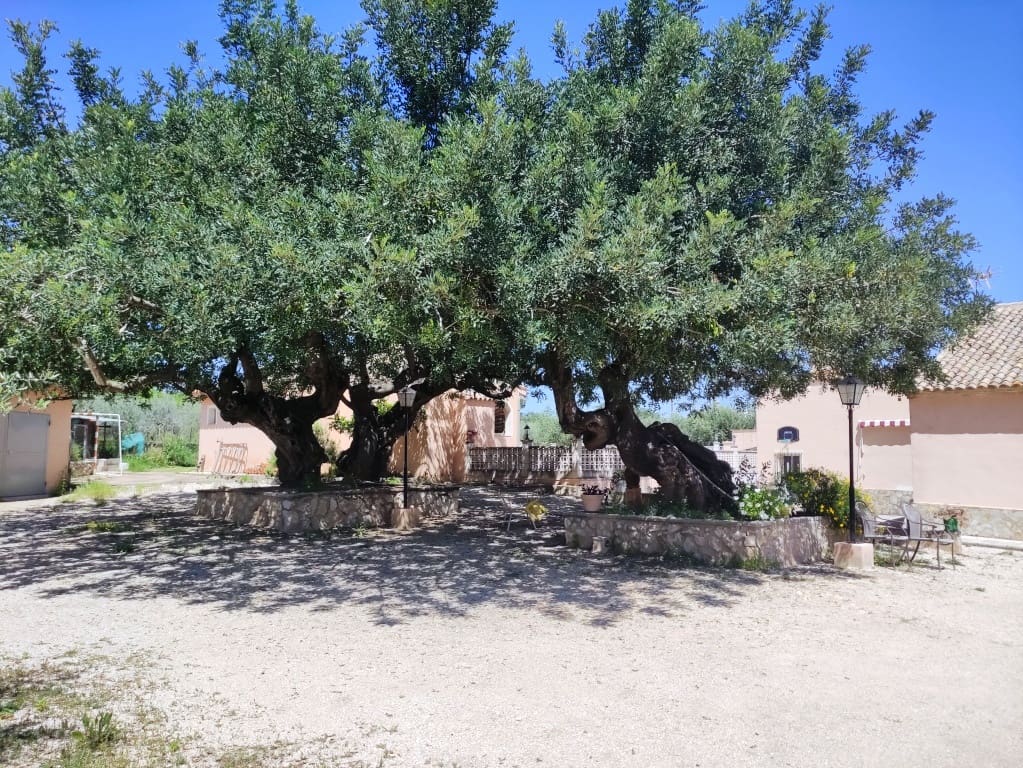 5 soveværelse Finca/Landehus til salg i Ontinyent med swimmingpool garage - € 295.000 (Ref: 3615452)