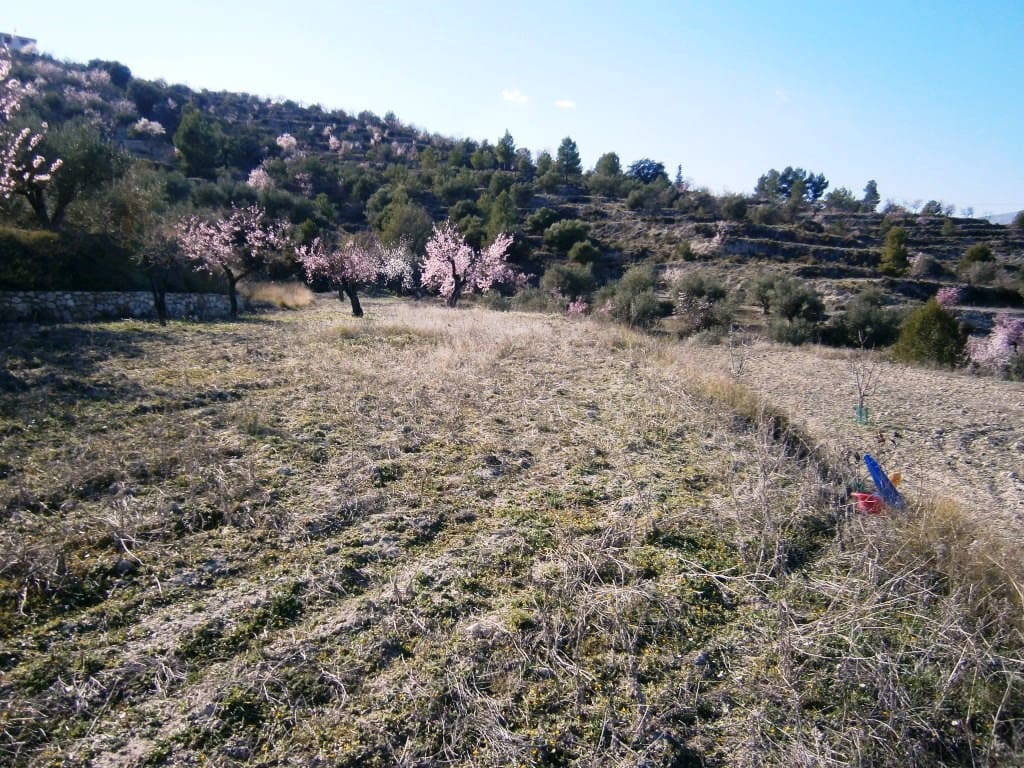 2 soveværelse Finca/Landehus til salg i Benilloba - € 65.000 (Ref: 3615502)