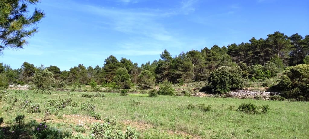 4 camera da letto Finca/Casa di Campagna in vendita in Penaguila con garage - 190.000 € (Rif: 4088493)