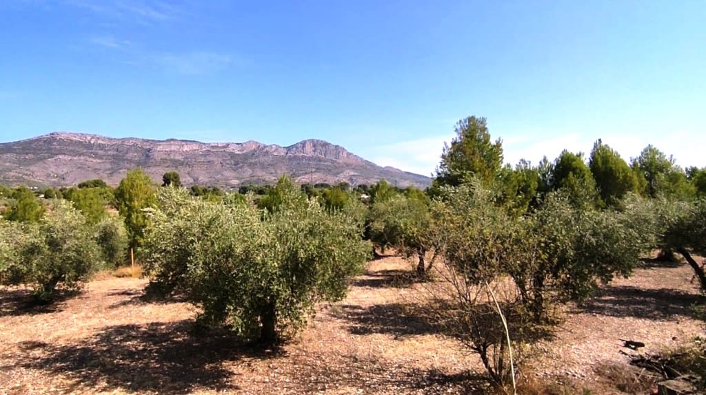 4 soverom Finca/Herregård til salgs i Alcocer de Planes med garasje - € 199 000 (Ref: 6151911)