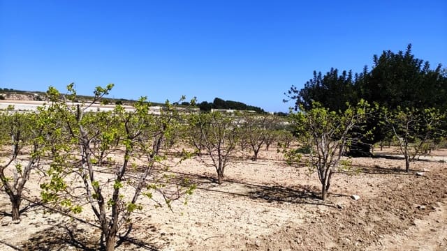 Finca/Country House for sale in Agullent - € 48,000 (Ref: 6151913)