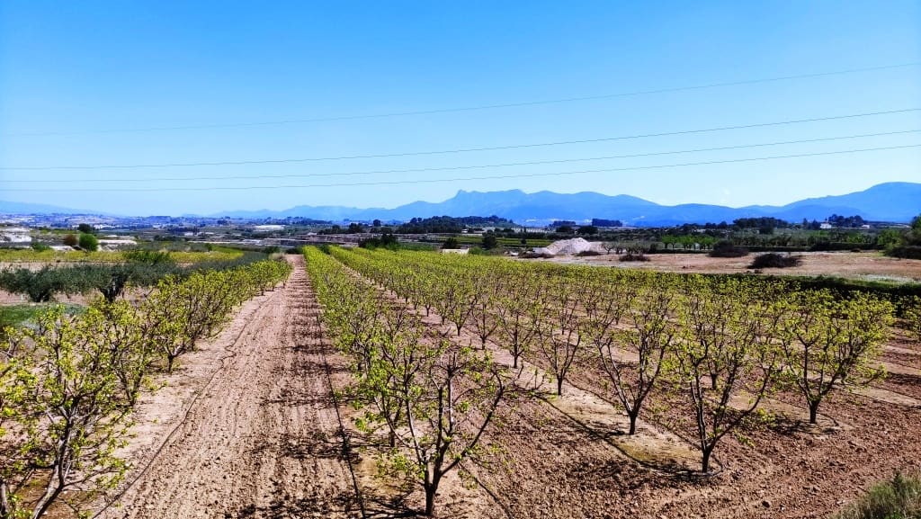 Finca/Country House for sale in Agullent - € 48,000 (Ref: 6151913)