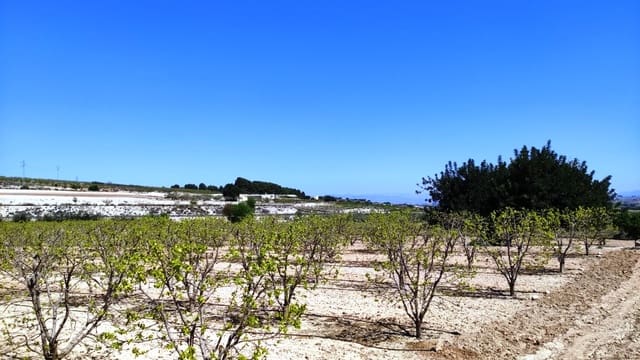 Finca/Country House for sale in Agullent - € 48,000 (Ref: 6151913)