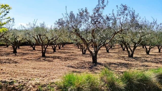 Finca/Country House for sale in Agullent - € 48,000 (Ref: 6151913)