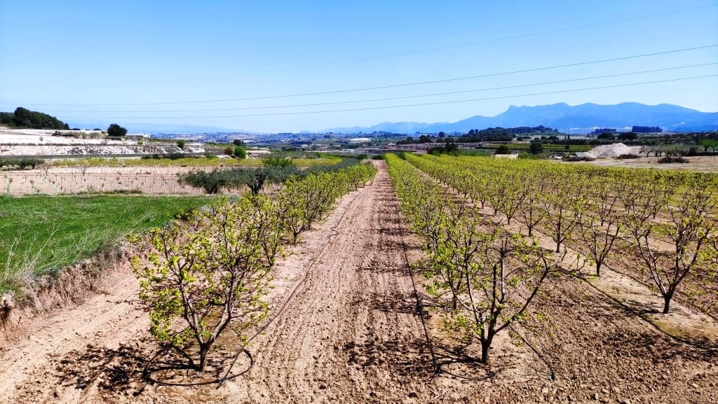 Finca/Country House for sale in Agullent - € 48,000 (Ref: 6151913)