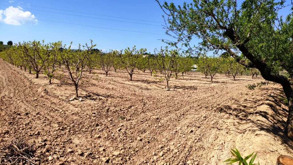 Finca/Country House for sale in Agullent - € 48,000 (Ref: 6151913)