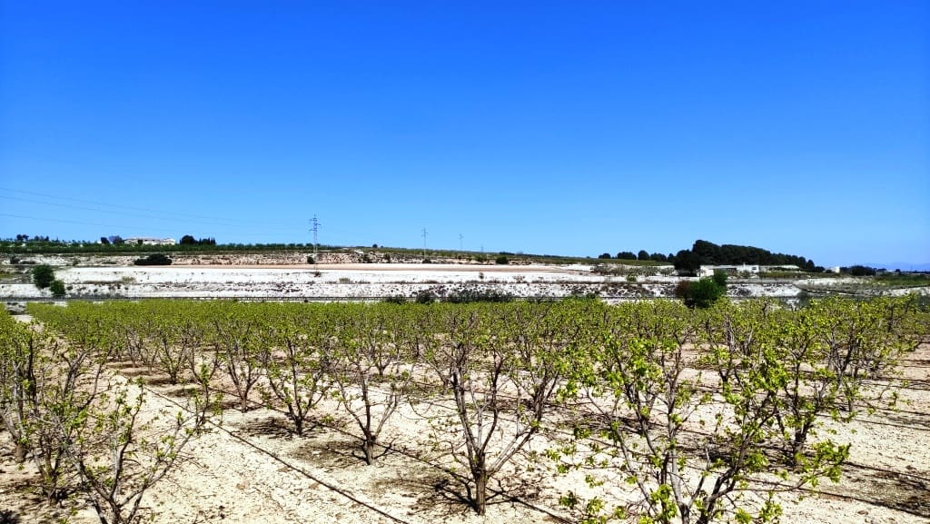 Finca/Country House for sale in Agullent - € 48,000 (Ref: 6151913)