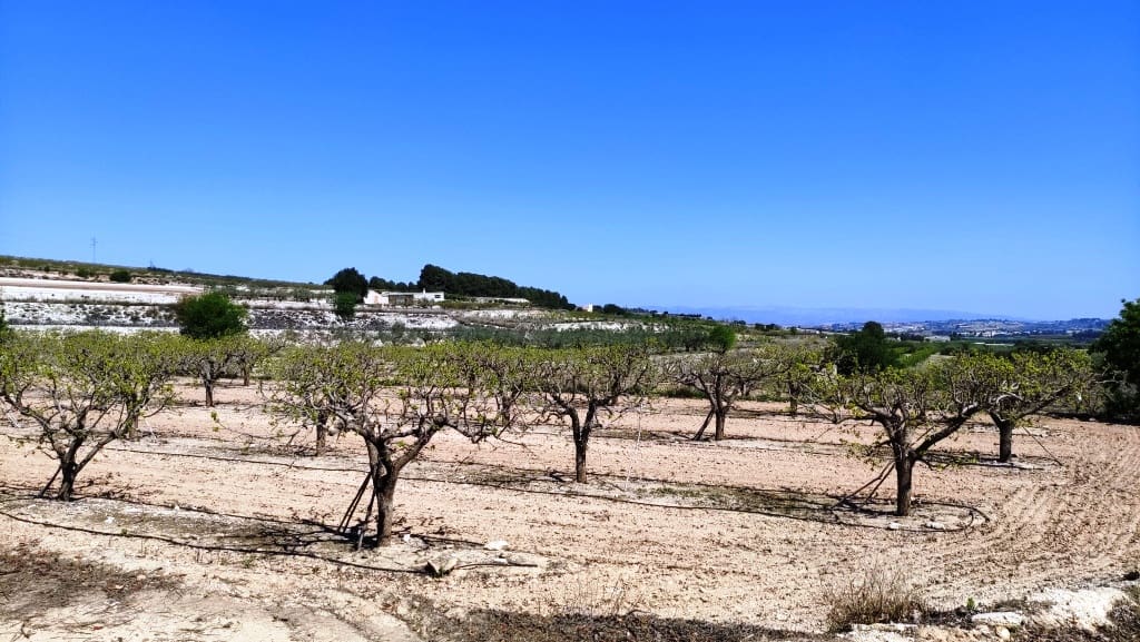 Finca/Country House for sale in Agullent - € 48,000 (Ref: 6151913)