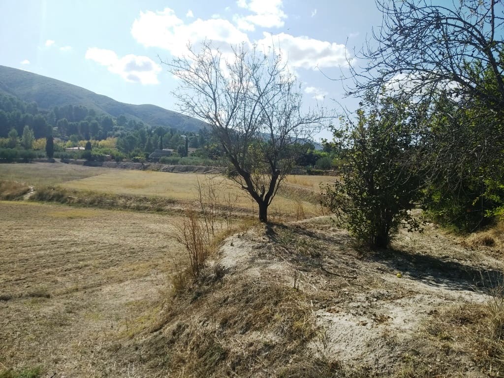 Finca/Landehus til salg i Ontinyent med garage - € 95.000 (Ref: 6151917)