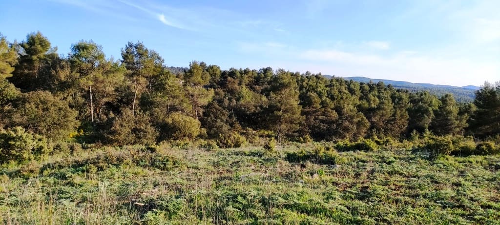 Finca/Herregård til salgs i Bocairent - € 680 000 (Ref: 6151921)