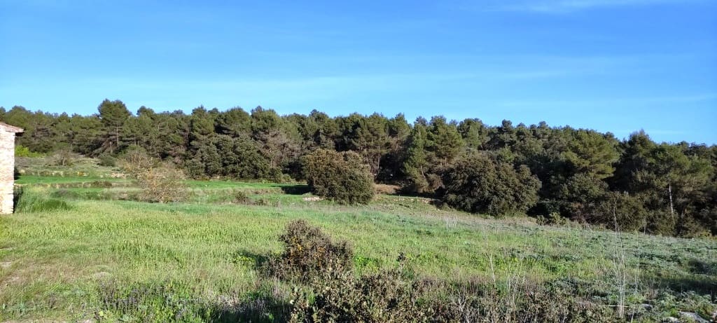 Finca/Herregård til salgs i Bocairent - € 680 000 (Ref: 6151921)