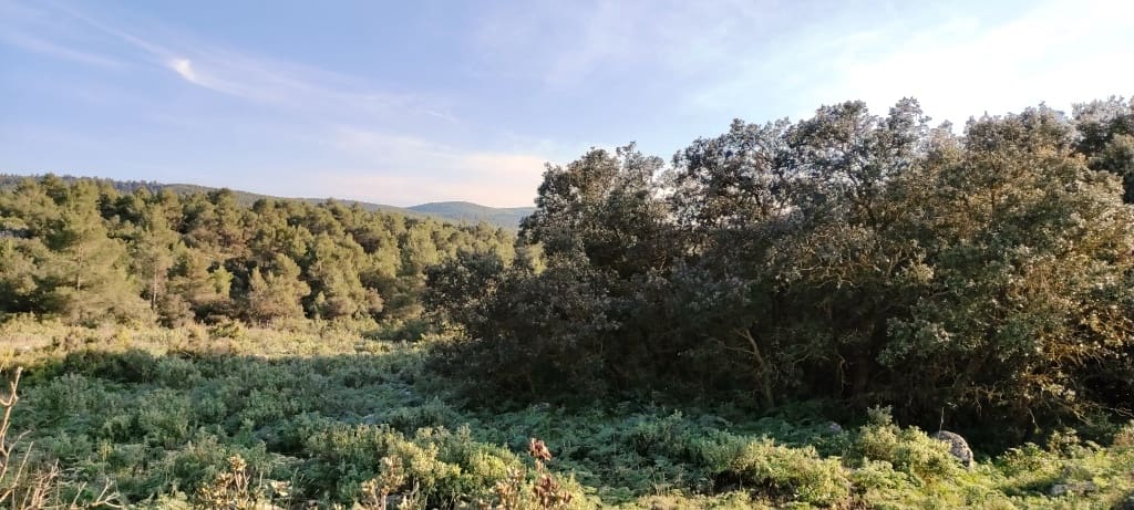 Finca/Herregård til salgs i Bocairent - € 680 000 (Ref: 6151921)