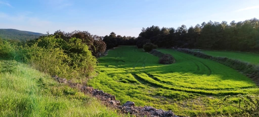 Finca/Herregård til salgs i Bocairent - € 680 000 (Ref: 6151921)