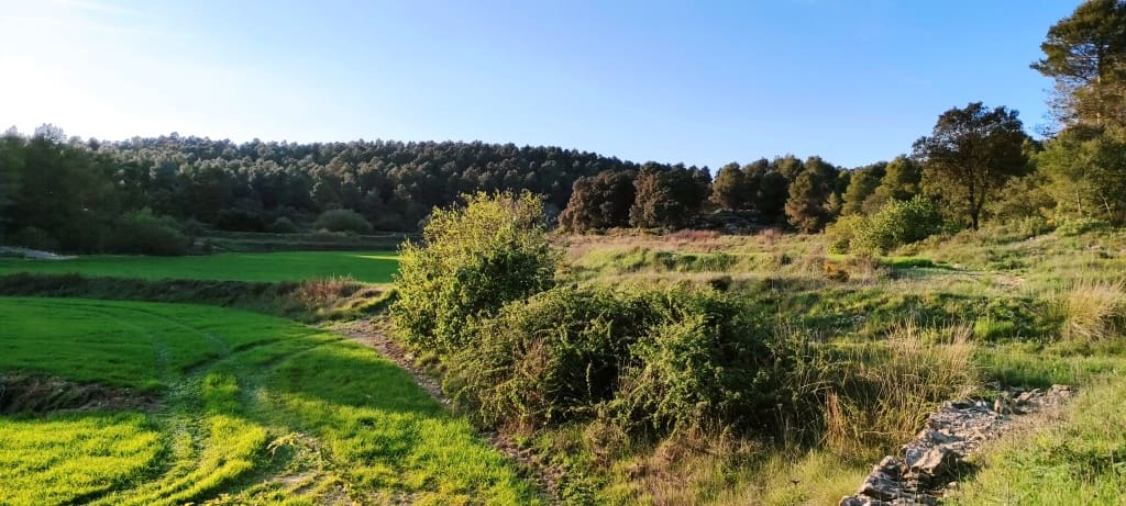 Finca/Herregård til salgs i Bocairent - € 680 000 (Ref: 6151921)