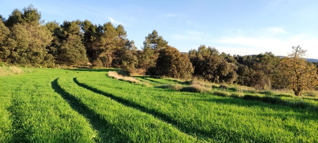 Finca/Herregård til salgs i Bocairent - € 680 000 (Ref: 6151921)