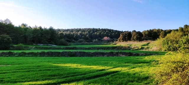 Quinta/Casa Rural para venda em Bocairent - 680 000 € (Ref: 6151921)