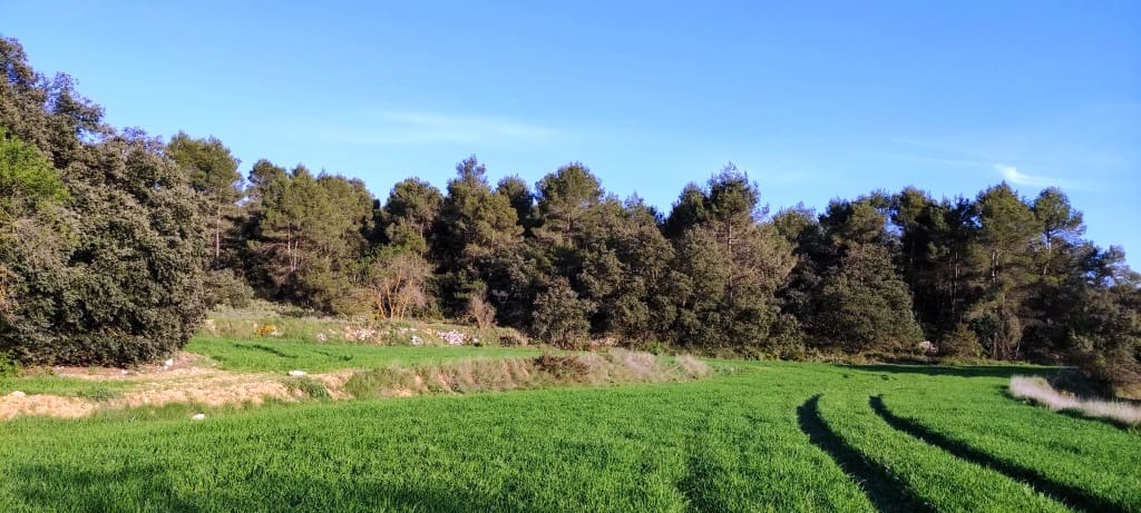 Finca/Herregård til salgs i Bocairent - € 680 000 (Ref: 6151921)