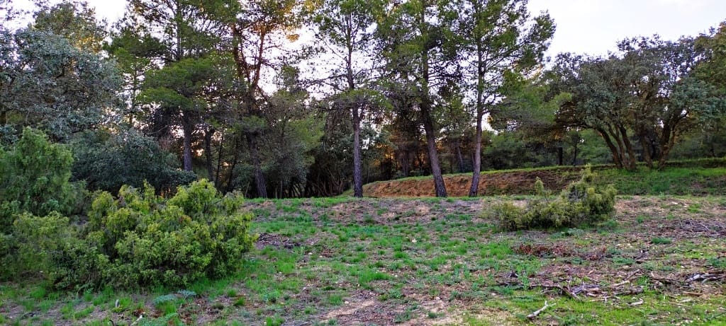 Finca/Herregård til salgs i Bocairent - € 680 000 (Ref: 6151921)