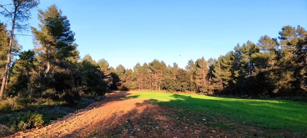 Finca/Herregård til salgs i Bocairent - € 680 000 (Ref: 6151921)