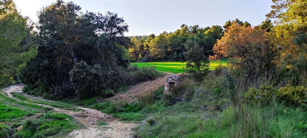 Finca/Herregård til salgs i Bocairent - € 680 000 (Ref: 6151921)