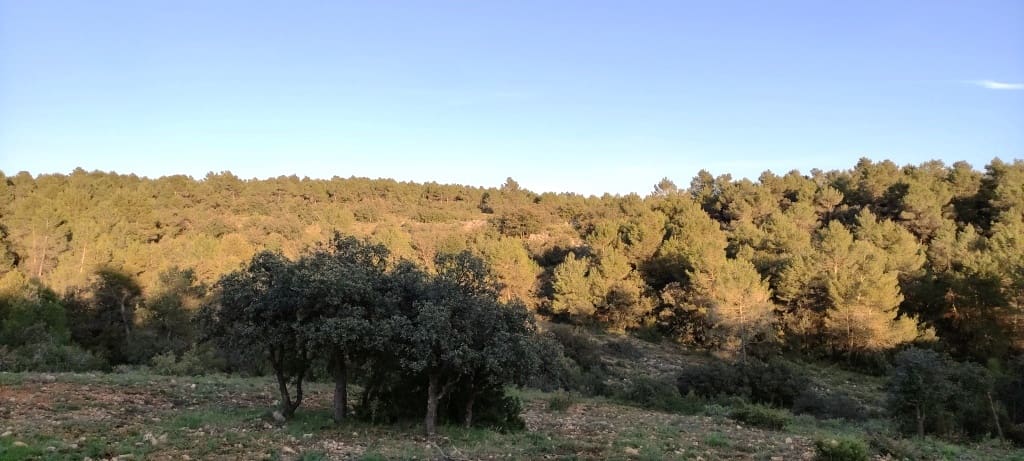 Finca/Herregård til salgs i Bocairent - € 680 000 (Ref: 6151921)