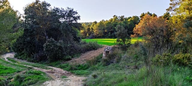 Quinta/Casa Rural para venda em Bocairent - 680 000 € (Ref: 6151921)