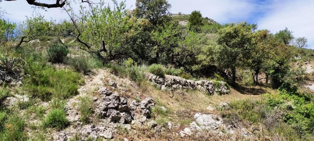 Finca/Landehus til salg i Benasau - € 49.000 (Ref: 6151922)