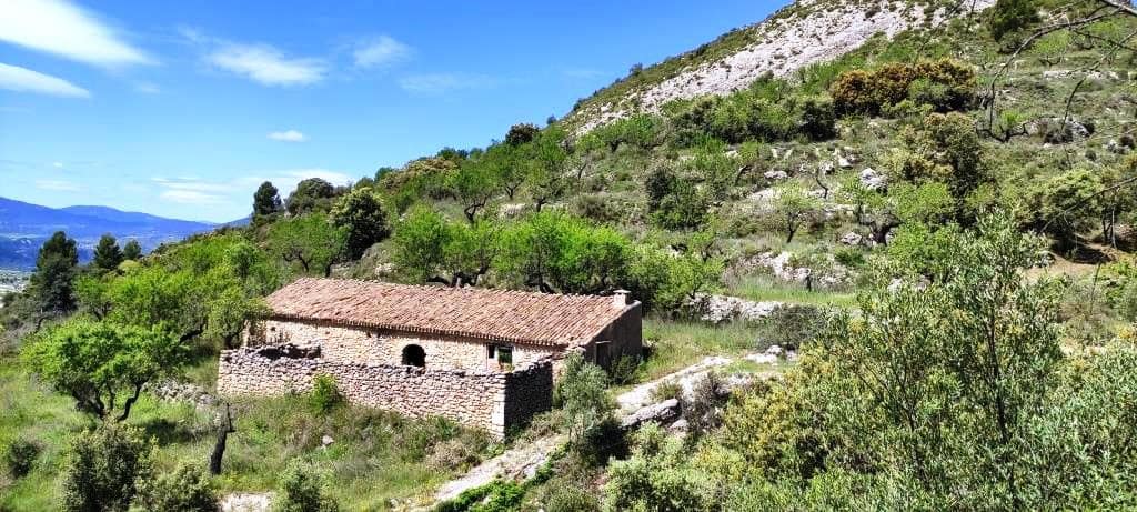 Finca/Landehus til salg i Benasau - € 49.000 (Ref: 6151922)