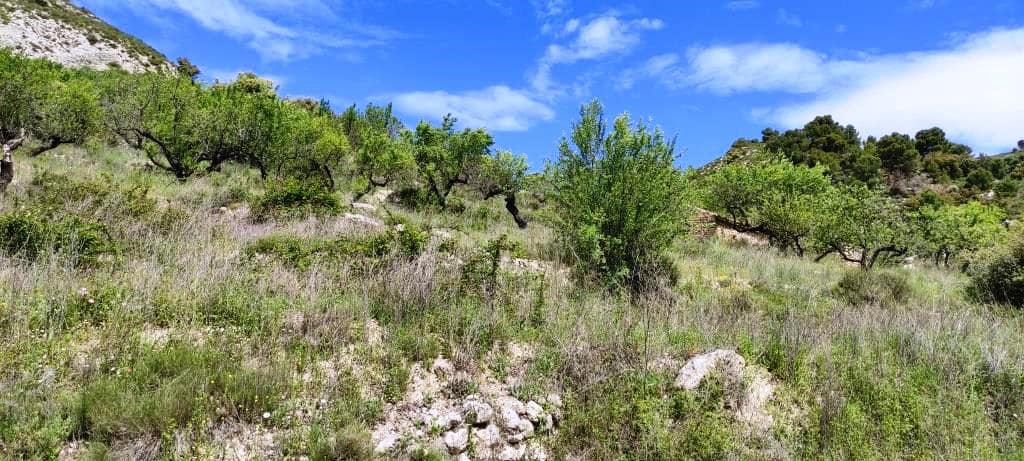 Finca/Landehus til salg i Benasau - € 49.000 (Ref: 6151922)