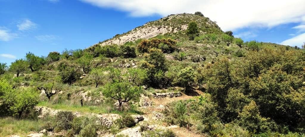 Finca/Landehus til salg i Benasau - € 49.000 (Ref: 6151922)