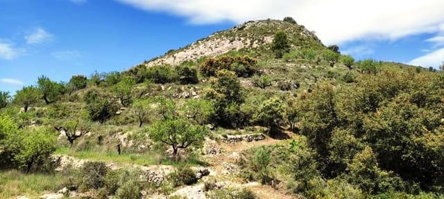 Finca/Casa di Campagna in vendita in Benasau - 49.000 € (Rif: 6151922)