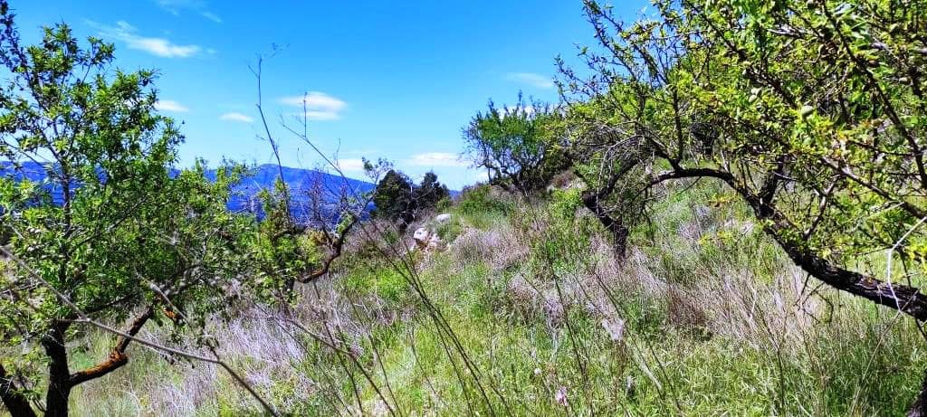 Finca/Landehus til salg i Benasau - € 49.000 (Ref: 6151922)