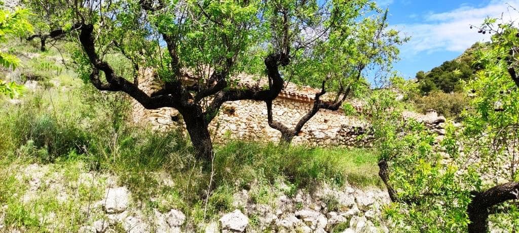 Finca/Landehus til salg i Benasau - € 49.000 (Ref: 6151922)