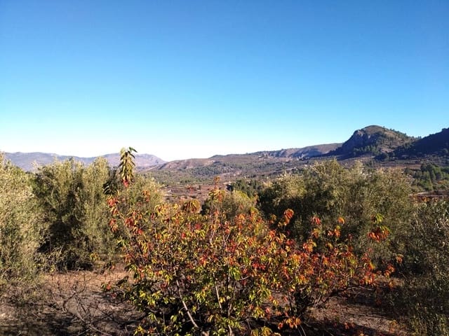 Ruïne te koop in Benimarfull - € 56.000 (Ref: 6151948)