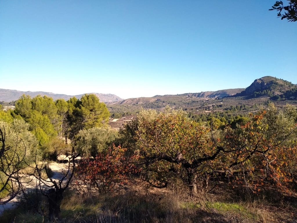 Ruin til salg i Benimarfull - € 56.000 (Ref: 6151948)