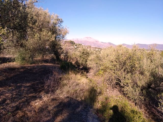 Ruïne te koop in Benimarfull - € 56.000 (Ref: 6151948)