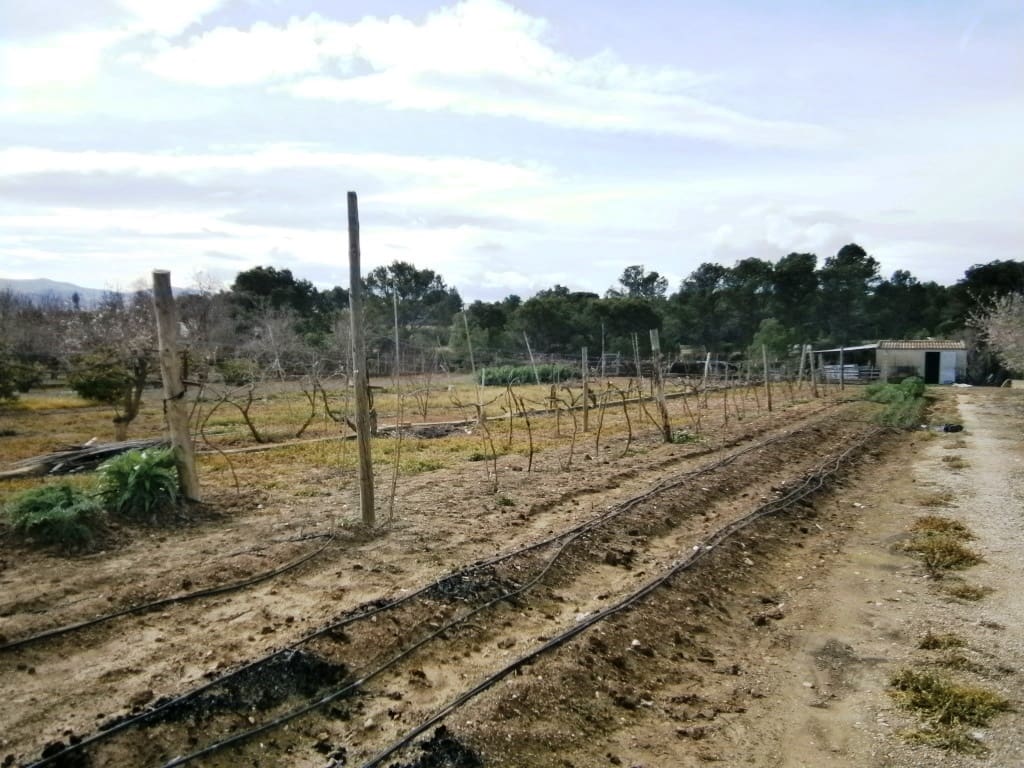 5 slaapkamer Finca/Landhuis te koop in Ontinyent met zwembad garage - € 350.000 (Ref: 6207258)