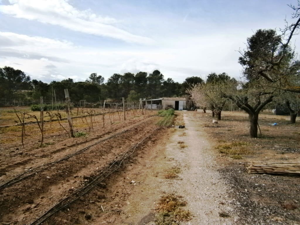 5 slaapkamer Finca/Landhuis te koop in Ontinyent met zwembad garage - € 350.000 (Ref: 6207258)