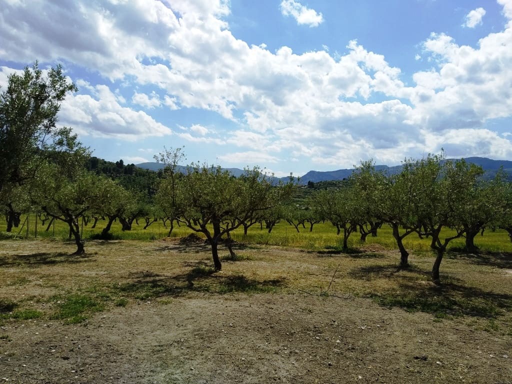 5 soveværelse Finca/Landehus til salg i Cocentaina med swimmingpool garage - € 399.000 (Ref: 6207263)