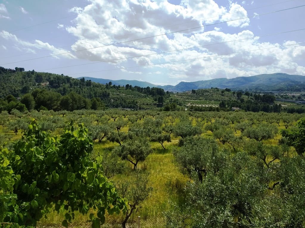 5 soveværelse Finca/Landehus til salg i Cocentaina med swimmingpool garage - € 399.000 (Ref: 6207263)